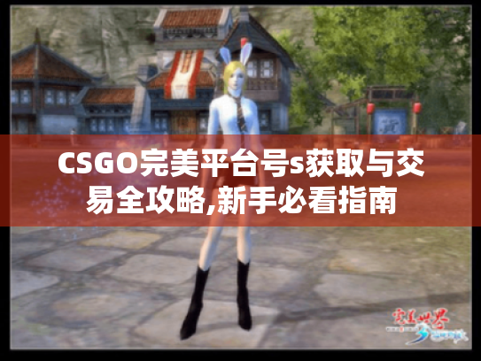 CSGO完美平台号s获取与交易全攻略,新手必看指南 CSGO完美平台号s获取与交易全攻略,新手必看指南