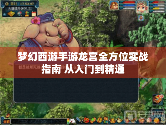 梦幻西游手游龙宫全方位实战指南 从入门到精通 梦幻西游手游龙宫全方位实战指南 从入门到精通
