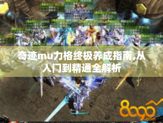 奇迹mu力格终极养成指南,从入门到精通全解析 奇迹mu力格终极养成指南,从入门到精通全解析
