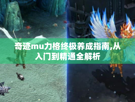 奇迹mu力格终极养成指南,从入门到精通全解析 奇迹mu力格终极养成指南,从入门到精通全解析