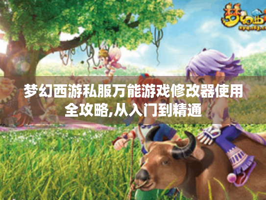 梦幻西游私服万能游戏修改器使用全攻略,从入门到精通