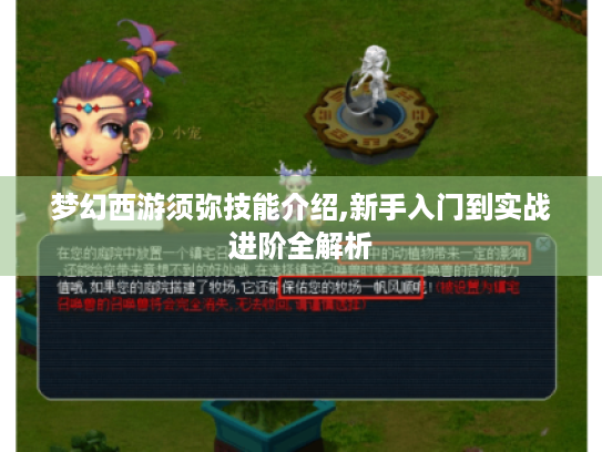 梦幻西游须弥技能介绍,新手入门到实战进阶全解析 梦幻西游须弥技能介绍,新手入门到实战进阶全解析