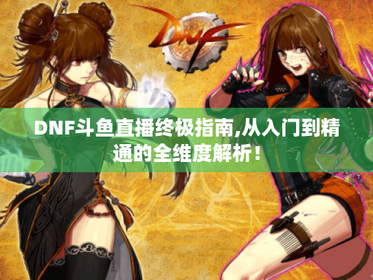 DNF斗鱼直播终极指南,从入门到精通的全维度解析! DNF斗鱼直播终极指南,从入门到精通的全维度解析!