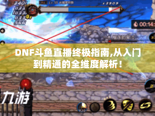 DNF斗鱼直播终极指南,从入门到精通的全维度解析! DNF斗鱼直播终极指南,从入门到精通的全维度解析!