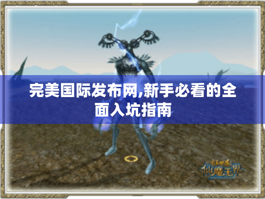 完美国际发布网,新手必看的全面入坑指南
