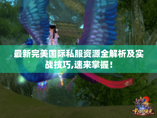 最新完美国际私服资源全解析及实战技巧,速来掌握! 最新完美国际私服资源全解析及实战技巧,速来掌握!