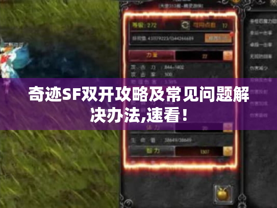 奇迹SF双开攻略及常见问题解决办法,速看! 奇迹SF双开攻略及常见问题解决办法,速看!