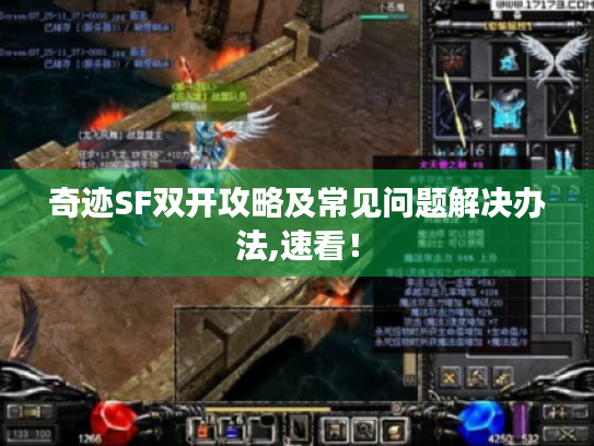 奇迹SF双开攻略及常见问题解决办法,速看! 奇迹SF双开攻略及常见问题解决办法,速看!