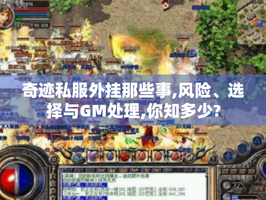 奇迹私服外挂那些事,风险、选择与GM处理,你知多少? 奇迹私服外挂那些事,风险、选择与GM处理,你知多少?