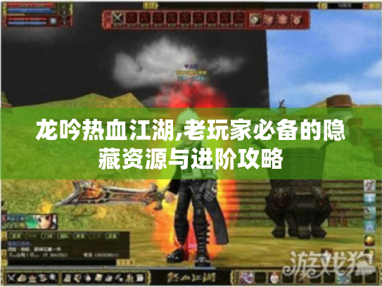 龙吟热血江湖,老玩家必备的隐藏资源与进阶攻略 龙吟热血江湖,老玩家必备的隐藏资源与进阶攻略