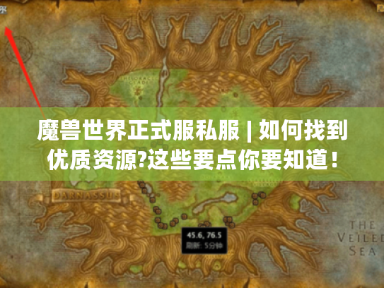 魔兽世界正式服私服 | 如何找到优质资源?这些要点你要知道！