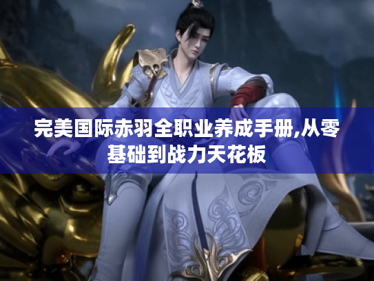 完美国际赤羽全职业养成手册,从零基础到战力天花板 完美国际赤羽全职业养成手册,从零基础到战力天花板