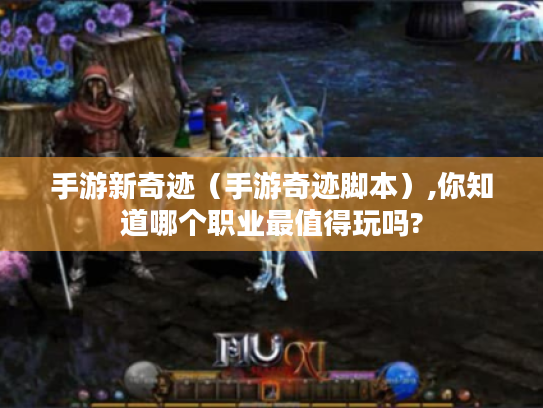 手游新奇迹(手游奇迹脚本),你知道哪个职业最值得玩吗? 手游新奇迹(手游奇迹脚本),你知道哪个职业最值得玩吗?