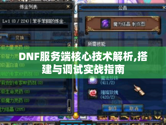 DNF服务端核心技术解析,搭建与调试实战指南 DNF服务端核心技术解析,搭建与调试实战指南