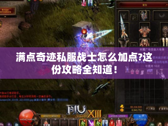 满点奇迹私服战士怎么加点?这份攻略全知道! 满点奇迹私服战士怎么加点?这份攻略全知道!