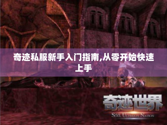 奇迹私服新手入门指南,从零开始快速上手 奇迹私服新手入门指南,从零开始快速上手