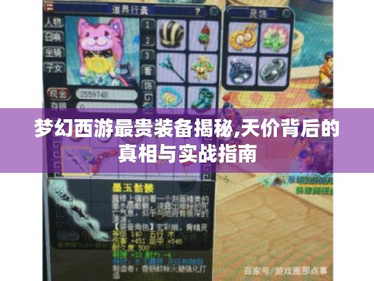 梦幻西游最贵装备揭秘,天价背后的真相与实战指南