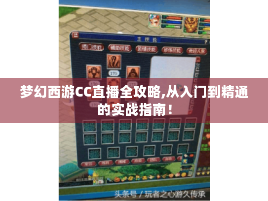 梦幻西游CC直播全攻略,从入门到精通的实战指南! 梦幻西游CC直播全攻略,从入门到精通的实战指南!