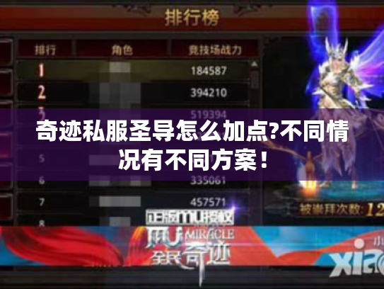 奇迹私服圣导怎么加点?不同情况有不同方案! 奇迹私服圣导怎么加点?不同情况有不同方案!