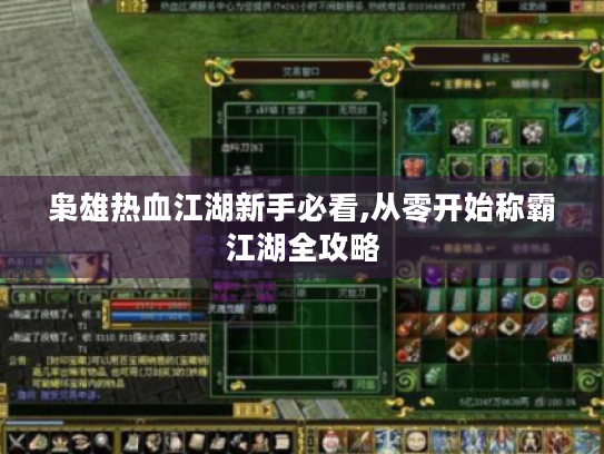 枭雄热血江湖新手必看,从零开始称霸江湖全攻略 枭雄热血江湖新手必看,从零开始称霸江湖全攻略