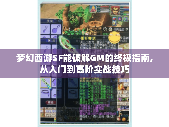 梦幻西游SF能破解GM的终极指南,从入门到高阶实战技巧 梦幻西游SF能破解GM的终极指南,从入门到高阶实战技巧