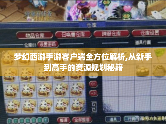 梦幻西游手游客户端全方位解析,从新手到高手的资源规划秘籍