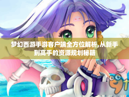梦幻西游手游客户端全方位解析,从新手到高手的资源规划秘籍