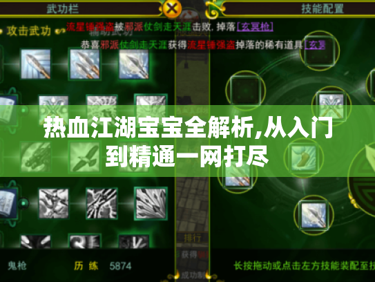 热血江湖宝宝全解析,从入门到精通一网打尽 热血江湖宝宝全解析,从入门到精通一网打尽