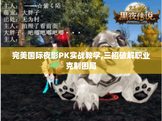 完美国际夜影PK实战教学,三招破解职业克制困局 完美国际夜影PK实战教学,三招破解职业克制困局