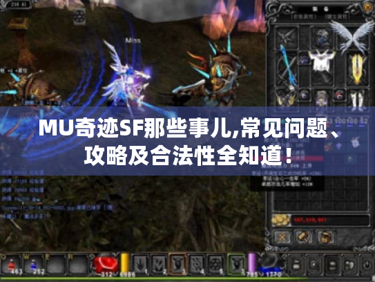 MU奇迹SF那些事儿,常见问题、攻略及合法性全知道! MU奇迹SF那些事儿,常见问题、攻略及合法性全知道!
