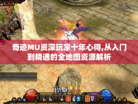 奇迹MU资深玩家十年心得,从入门到精通的全地图资源解析 奇迹MU资深玩家十年心得,从入门到精通的全地图资源解析