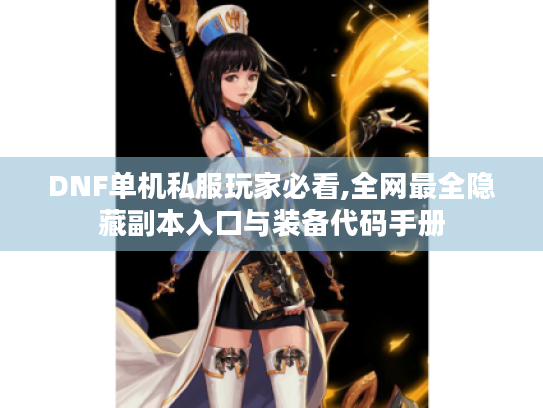 DNF单机私服玩家必看,全网最全隐藏副本入口与装备代码手册