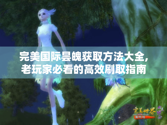 完美国际昙魄获取方法大全,老玩家必看的高效刷取指南 完美国际昙魄获取方法大全,老玩家必看的高效刷取指南