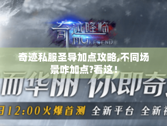 奇迹私服圣导加点攻略,不同场景咋加点?看这! 奇迹私服圣导加点攻略,不同场景咋加点?看这!