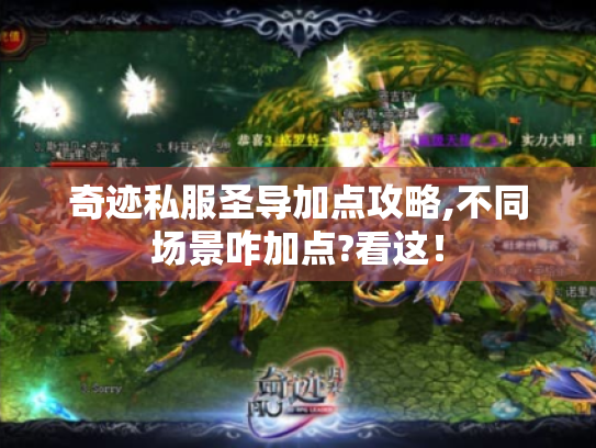 奇迹私服圣导加点攻略,不同场景咋加点?看这! 奇迹私服圣导加点攻略,不同场景咋加点?看这!