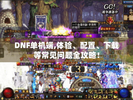 DNF单机端,体验、配置、下载等常见问题全攻略! DNF单机端,体验、配置、下载等常见问题全攻略!