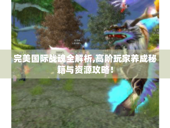 完美国际战魂全解析,高阶玩家养成秘籍与资源攻略! 完美国际战魂全解析,高阶玩家养成秘籍与资源攻略!