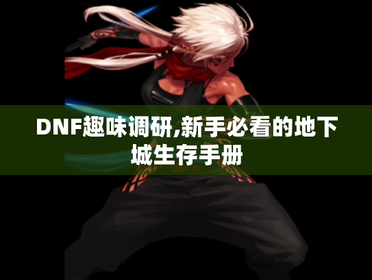 DNF趣味调研,新手必看的地下城生存手册 DNF趣味调研,新手必看的地下城生存手册
