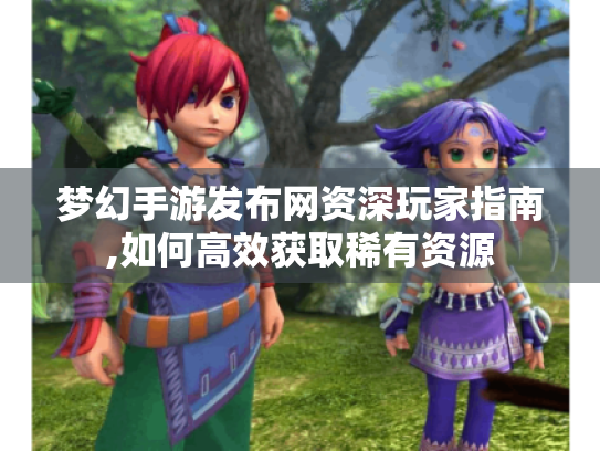 梦幻手游发布网资深玩家指南,如何高效获取稀有资源 梦幻手游发布网资深玩家指南,如何高效获取稀有资源