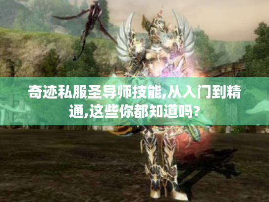 奇迹私服圣导师技能,从入门到精通,这些你都知道吗? 奇迹私服圣导师技能,从入门到精通,这些你都知道吗?