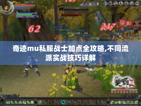 奇迹mu私服战士加点全攻略,不同流派实战技巧详解 奇迹mu私服战士加点全攻略,不同流派实战技巧详解