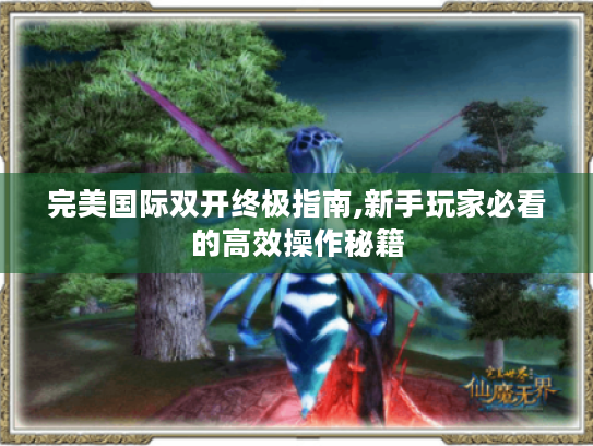 完美国际双开终极指南,新手玩家必看的高效操作秘籍 完美国际双开终极指南,新手玩家必看的高效操作秘籍