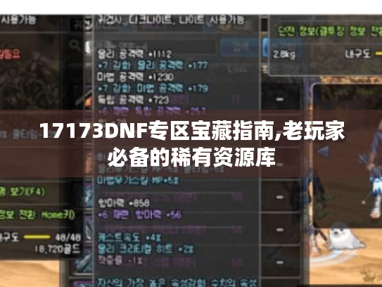 17173DNF专区宝藏指南,老玩家必备的稀有资源库 17173DNF专区宝藏指南,老玩家必备的稀有资源库