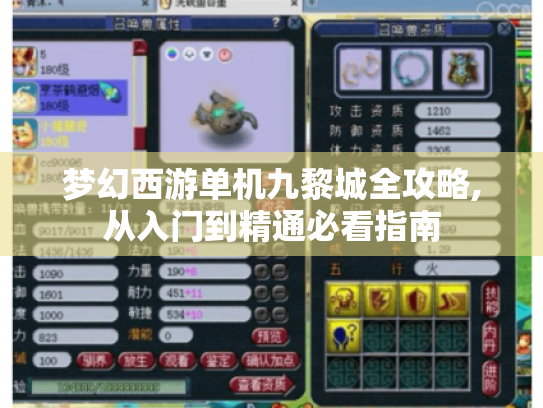 梦幻西游单机九黎城全攻略,从入门到精通必看指南 梦幻西游单机九黎城全攻略,从入门到精通必看指南