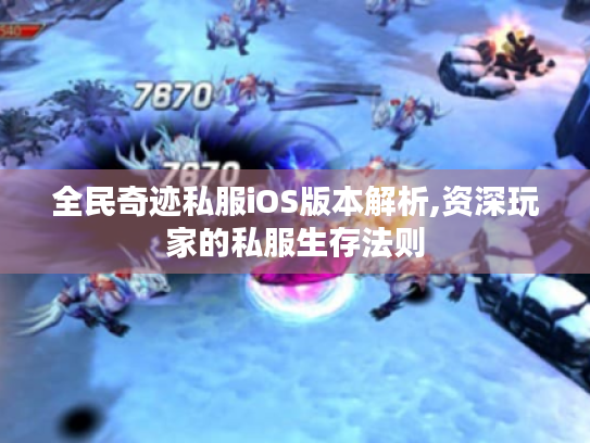 全民奇迹私服iOS版本解析,资深玩家的私服生存法则 全民奇迹私服iOS版本解析,资深玩家的私服生存法则