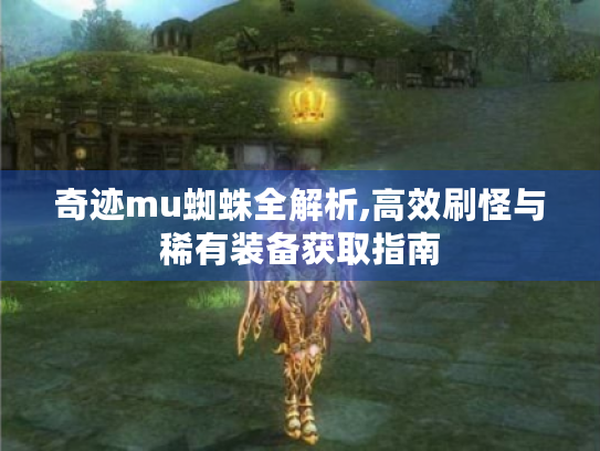 奇迹mu蜘蛛全解析,高效刷怪与稀有装备获取指南 奇迹mu蜘蛛全解析,高效刷怪与稀有装备获取指南