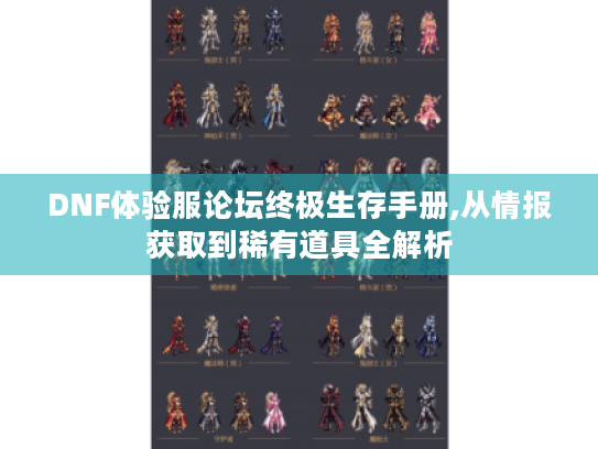 DNF体验服论坛终极生存手册,从情报获取到稀有道具全解析 DNF体验服论坛终极生存手册,从情报获取到稀有道具全解析