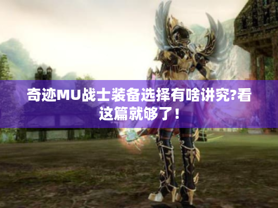 奇迹MU战士装备选择有啥讲究?看这篇就够了! 奇迹MU战士装备选择有啥讲究?看这篇就够了!