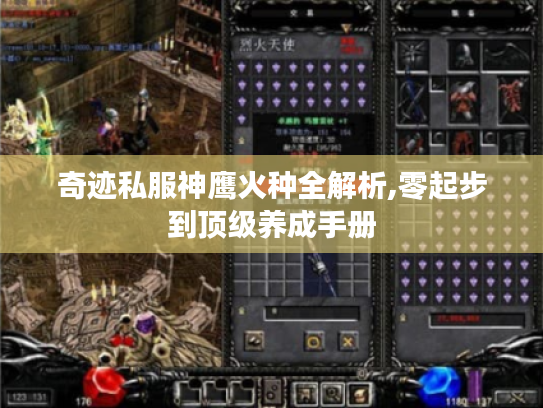 奇迹私服神鹰火种全解析,零起步到顶级养成手册 奇迹私服神鹰火种全解析,零起步到顶级养成手册