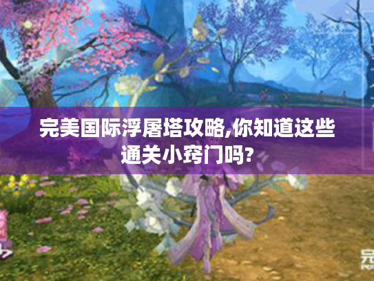 完美国际浮屠塔攻略,你知道这些通关小窍门吗? 完美国际浮屠塔攻略,你知道这些通关小窍门吗?
